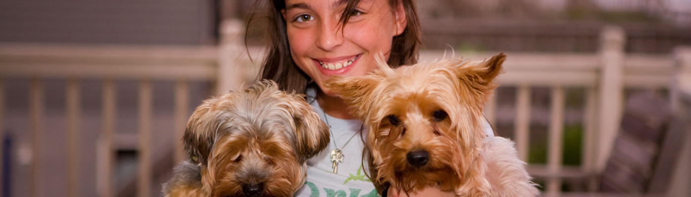 banner-layers-girl-dogsr